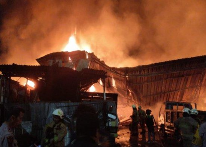 132 Ekor Kambing Terpanggang Api Imbas Kebakaran di Jakarta Timur