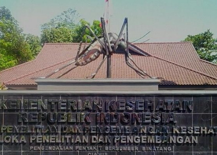 Belum Banyak yang Tahu! Ternyata Ada Museum Nyamuk di Pangandaran