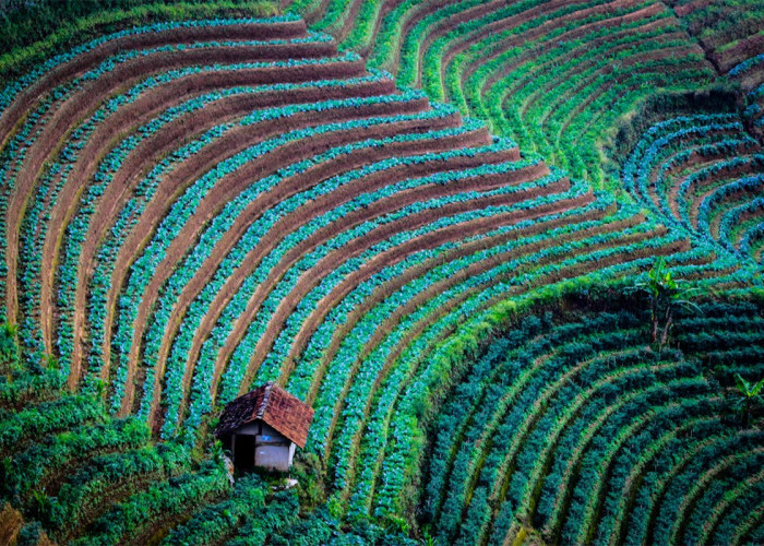 Wisata Murah di Majalengka: Destinasi Hits 2025 yang Bikin Liburan Hemat Tanpa Ribet!