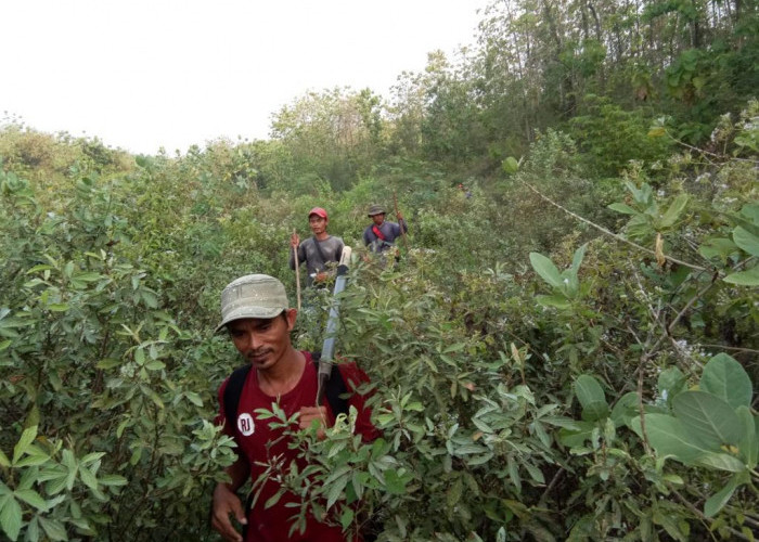 Warga Hilang di Hutan Sumurkondang Cirebon, Ditemukan Topi, Motor dan Jaring