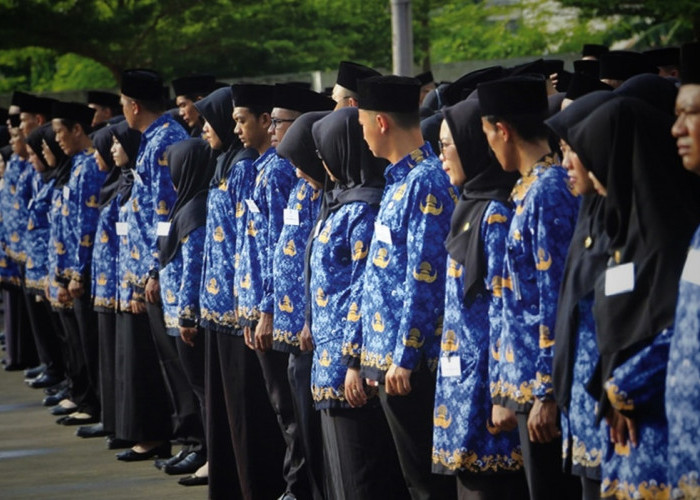 Berapa Gaji PPPK Paruh Waktu Tamatan SMA? Ternyata Bisa Bawa Pulang Segini