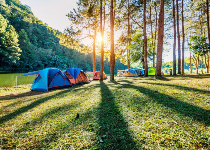 Surga Camping di Majalengka: 10 Lokasi Alam Terbaik dengan View Pegunungan dan Lautan Awan