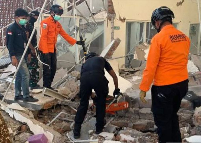 Gempa M7,7 Guncang NTT, BMKG Ungkap Potensi Sesar Naik Busur Belakang Flores