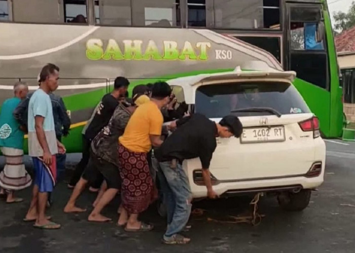 Detik-detik Kecelakaan di Jalan Raya Tambi Indramayu, Mobilio Tabrak Bus Sahabat