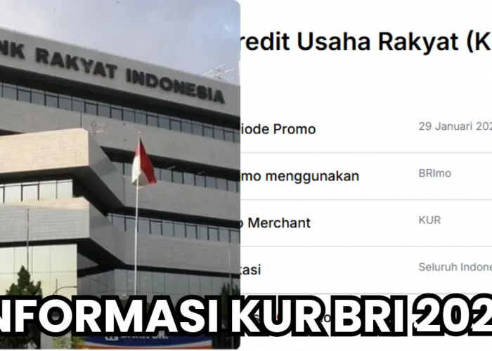 Semua Hal yang Harus Kamu Tahu Sebelum Melakukan Pinjaman Kredit Usaha Rakyat (KUR) BRI Ada Disini!