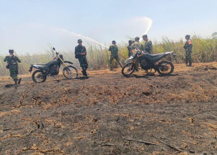 TNI Bersama Warga dan Damkar Padamkan Kebakaran 5 Hektare Lahan Tebu di Indramayu