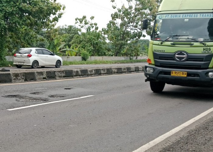 Hujan Deras Picu Kerusakan Jalan, Pantura Indramayu Bak Ranjau bagi Pengendara