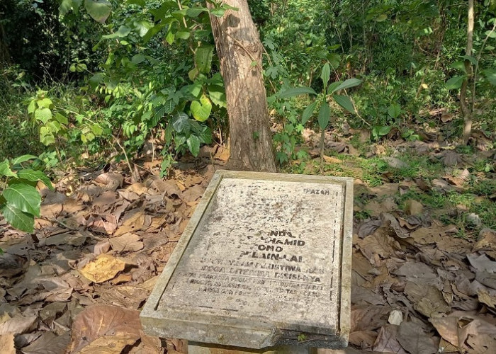 Kuburan Massal Hutan Plumbon, Tempat Pembantaian yang Dituduh Anggota PKI
