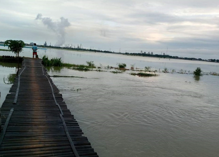 Hingga Senin, Indramayu Masih Terendam Banjir, Petani Terancam Gagal Tanam