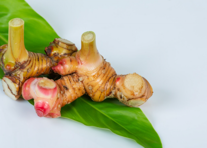 3 Manfaat Kencur untuk Kesehatan, Herbal Tradisional yang Bantu Turunkan Kolesterol hingga Atasi Diare