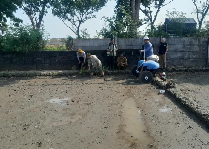 131 Hektare Sawah di Cirebon Sudah Terapkan PMAAS