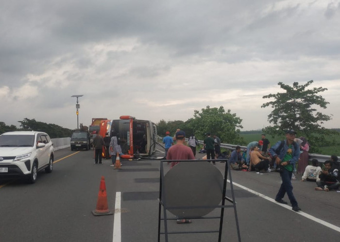 BREAKING NEWS: Kecelakaan Bus di Tol Kanci Pejagan Sore Ini, Banyak Korban Terluka