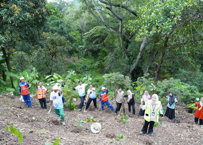 Indocement Tanam Pohon Kopi di Wisata Batu Lawang