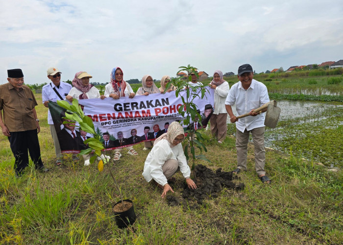 Tanam Ratusan Pohon, Gerindra Dorong Aksi Nyata Jaga Lingkungan 