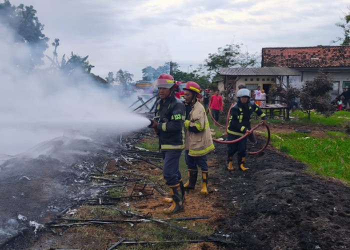 Diduga Tabung Gas 3 Kg Bocor, Kandang Ayam di Kedokanbunder Ludes Terbakar, Kerugian Capai Rp260 Juta