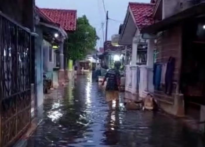 Mundu Pesisir Cirebon Diterjang Banjir Rob, Pagi Ini Pemukiman Terendam