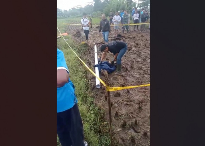 Petani di Kuningan Ditemukan Tewas di Sawah, Begini Fakta Lengkapnya