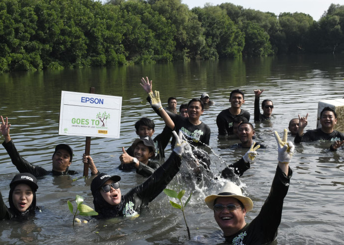 Lanjutkan Penghijauan, Epson Indonesia Tanam 6000 Pohon dan Rehabilitasi Nangrove