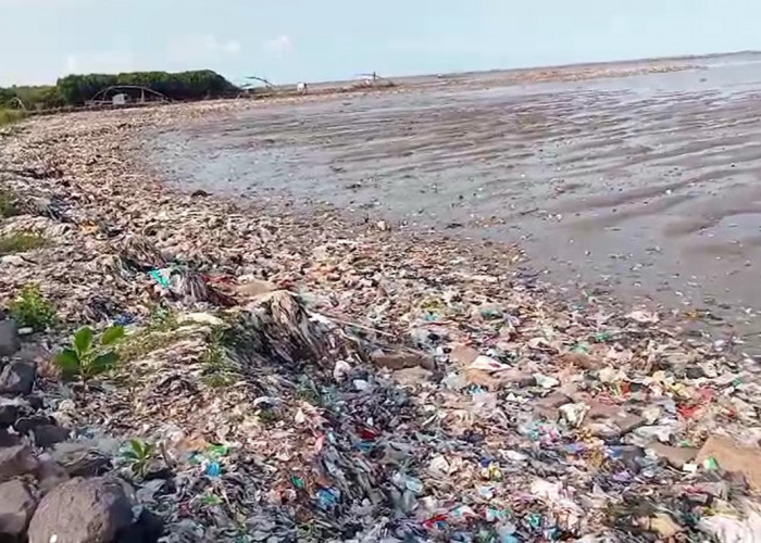 Pesisir Cirebon Kembali Kumuh, Sampah Kiriman dan Ulah Warga Jadi Sorotan