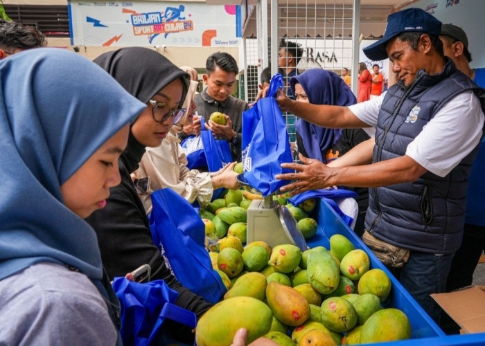 Petani Mangga Bondowoso Diberdayakan BRI, Kini Bisnisnya Makin Maju