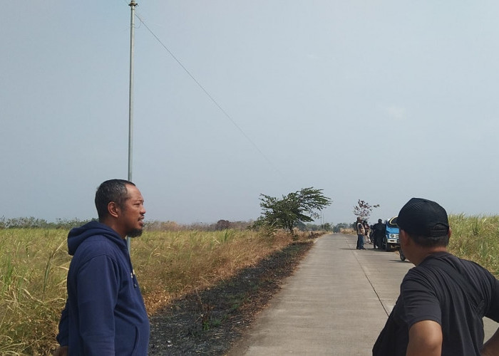 Miris! Empat Hektare Tebu Penggarap di Kertajati Rusak, Kerugian Capai Rp300 Juta