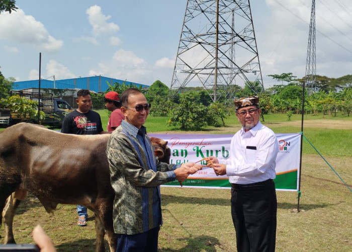 Pemkab Cirebon Apresiasi Cirebon Power, Dari Kurban hingga Vokasi untuk Warga