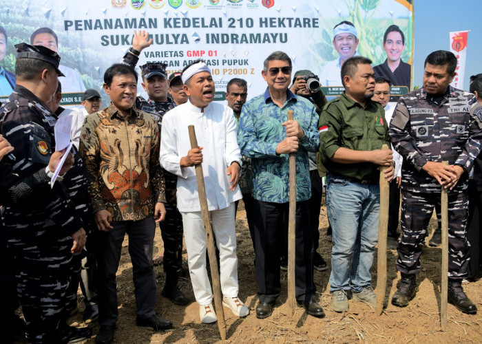 Penanaman Kedelai 210 Hektare di Indramayu Resmi Dimulai, Targetkan Indonesia Bebas Impor
