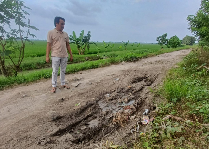 Jalan Kapetakan-Gegesik Cirebon Rusak Parah, DPRD Minta Pemda Segera Bertindak