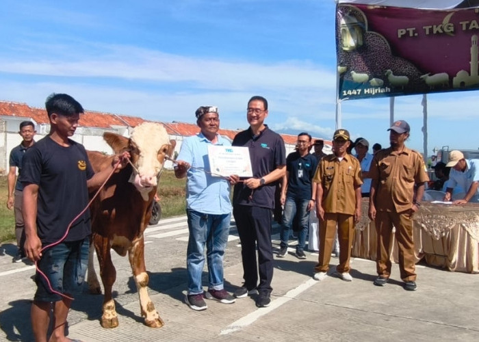 PT TKG Taekwang Cirebon Salurkan 3 Sapi dan 13 Domba Kurban, Siap Serap 25 Ribu Tenaga Kerja