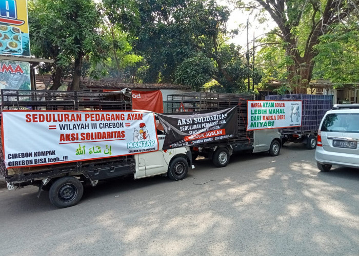 Pedagang Ayam Cirebon Demo di Stadion Bima: Turunkan Harga Ayam, Turunkan Harga Pakan