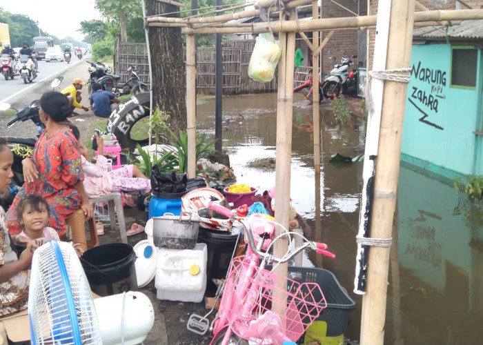 Banjir Rob di Indramayu, Warga Eretan Kulon Mengungsi ke Jalan