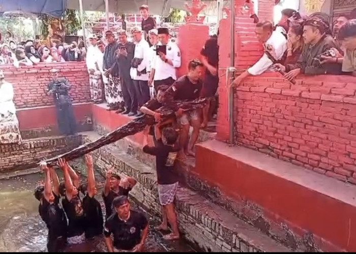 Tradisi Unik di Cirebon, Buyut Kayu Mati Dimandikan Setiap 19 Mulud, Airnya Diburu Warga untuk Ngalap Berkah
