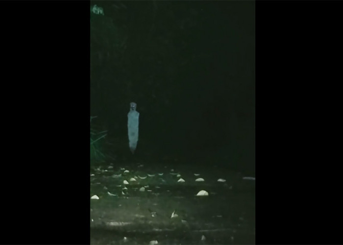 VIRAL Video Pocong Diduga di Kuningan, Kuwu Cikadu Buka Suara