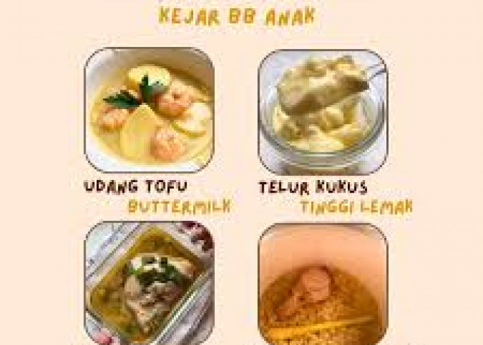 Menu Sehat untuk Balita: 4 Resep Praktis yang Bisa Ibu coba Dirumah