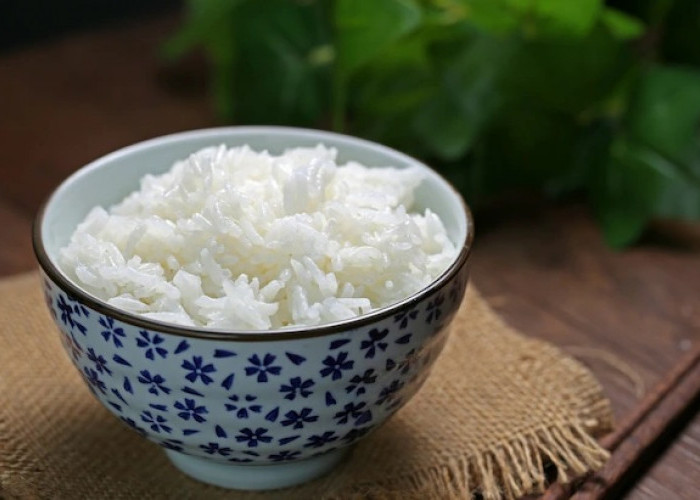 4 Pilihan Makanan Pengganti Nasi yang Baik bagi Tubuh