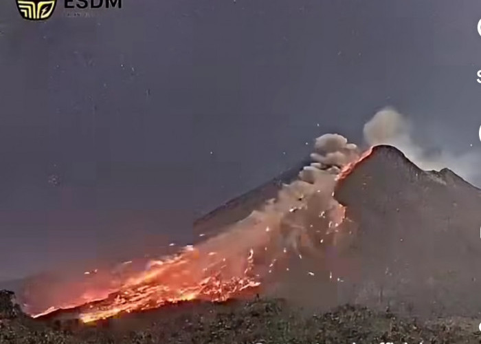 Gunung Merapi Kembali Luncurkan Awan Panas Guguran Sejauh 2 Kilometer
