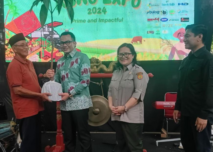 Kabupaten Cirebon Resmi Luncurkan Mangga Roman Ayu di Cirebon Agro Expo 2024