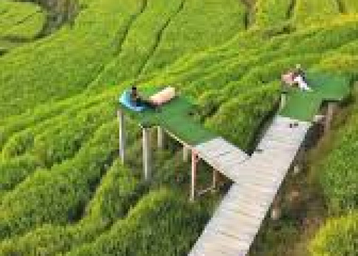 Wisata Murah di Majalengka: Destinasi Hits 2025 yang Bikin Liburan Hemat Tanpa Ribet!