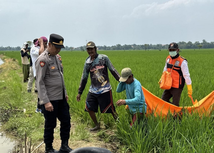 Mayat Pria Membusuk Ditemukan di Sawah Majalengka, Polisi Selidiki Penyebab Kematian