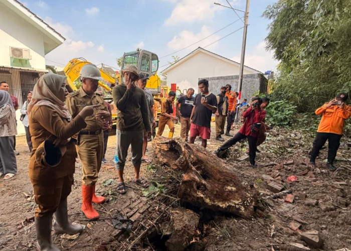 156 Bencana Terjadi di Kota Cirebon Sepanjang 2025, Pohon Tumbang Paling Dominan
