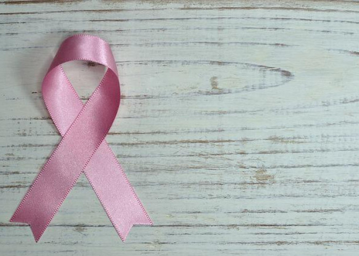 Cara Melawan Kanker Payudara, Ahli Kesehatan: Deteksi Dini 