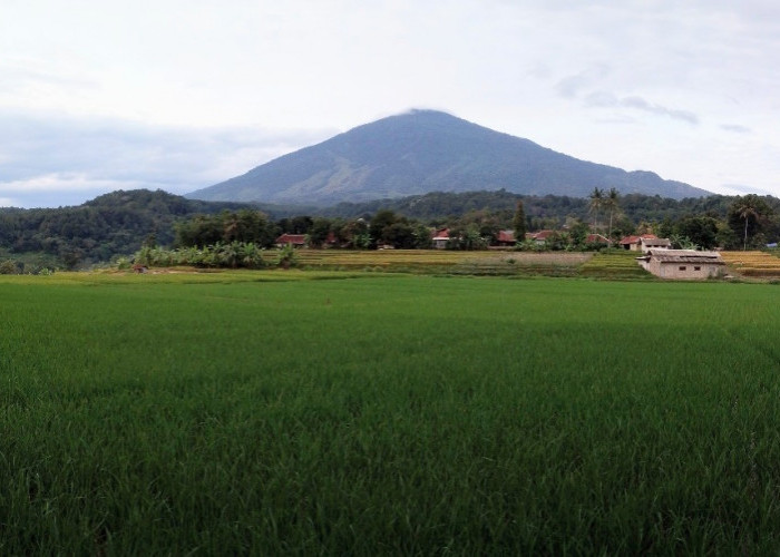 Wisata Alam di Kuningan: 7 Aktivitas yang Bisa Dilakukan di Gunung Ciremai Selain Mendaki 