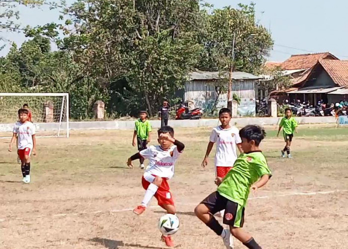 SSB Putra Agus Gelar Turnamen Sepakbola, Cari Bibit-bibit Atlet Usia Dini Masa Depan