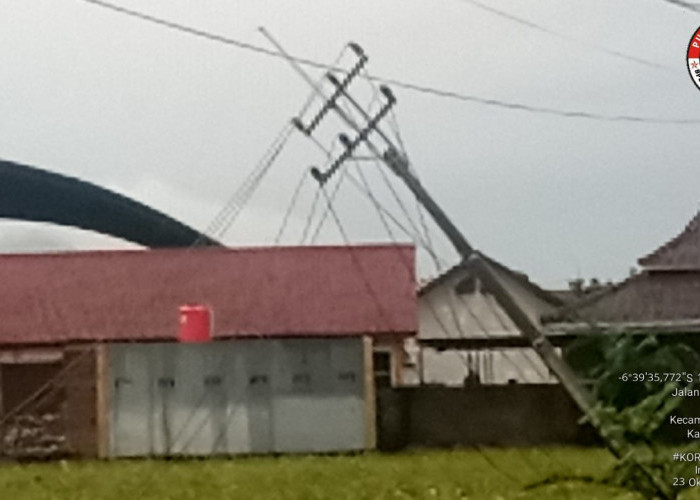 Angin Kencang di Ciwaringin Cirebon, Pohon dan Tiang Listrik Tumbang