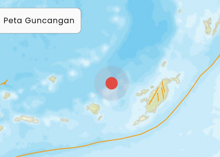 Gempa Bumi Berkekuatan 7.9 Magnitudo Guncang Ambon, BMKG Sempat Beri Peringatan Terjadi Tsunami
