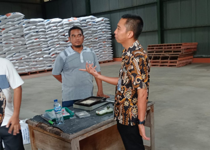 Bulog Cirebon Target Mampu Serap Gabah Petani 41.482 Ton pada Masim Panen Tahun Ini