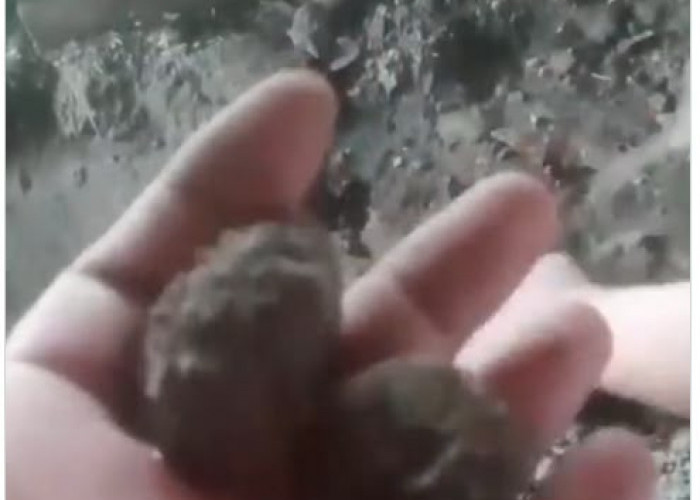 Angka Gandir di Gunungkidul Sangat Tingggi, Konon Terkait dengan Mitos Pulung Gantung dan Gelu