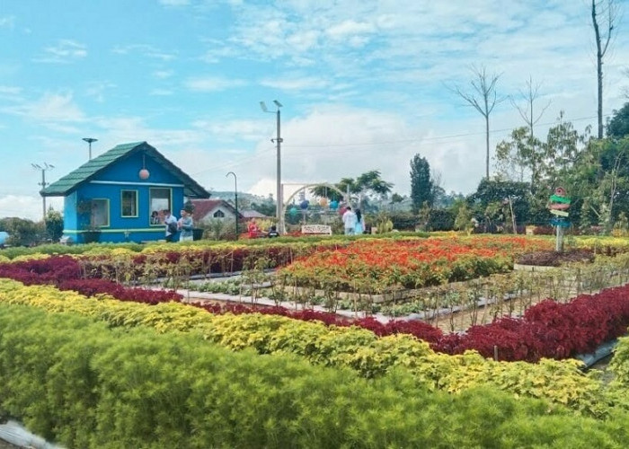 Taman Bunga Bee Park Majalengka, Koleksi 101 Jenis Bunga, Cocok untuk Wisata Keluarga