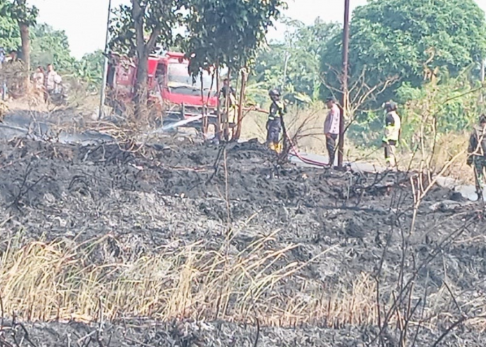 Kebakaran di Kuningan Hanguskan 2.100 Meter Persegi Lahan, Diduga Dipicu Pembakaran Sampah