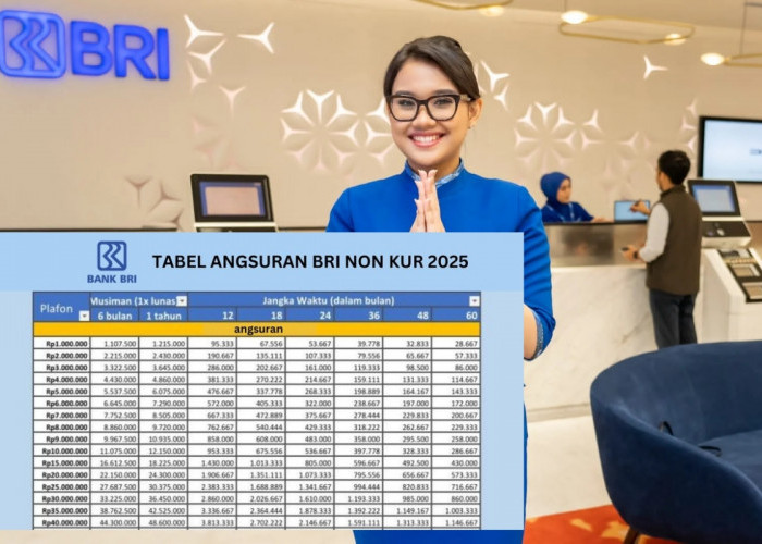 Pinjaman Non KUR BRI 2025 Bisa Menjadi Solusi Keuangan Anda, Simak di Sini